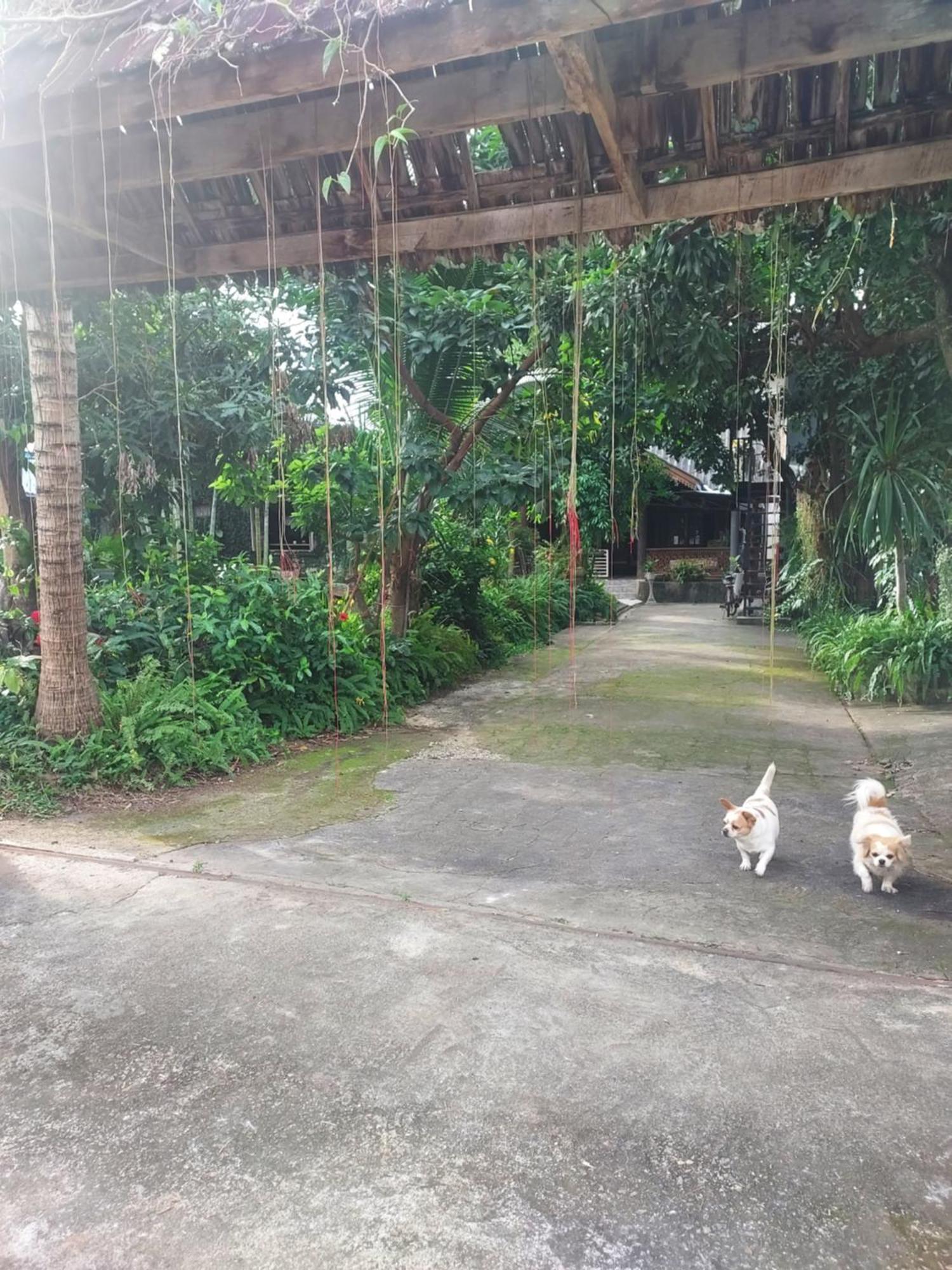 Kwanlah Homestay Mae Chaem Ngoại thất bức ảnh