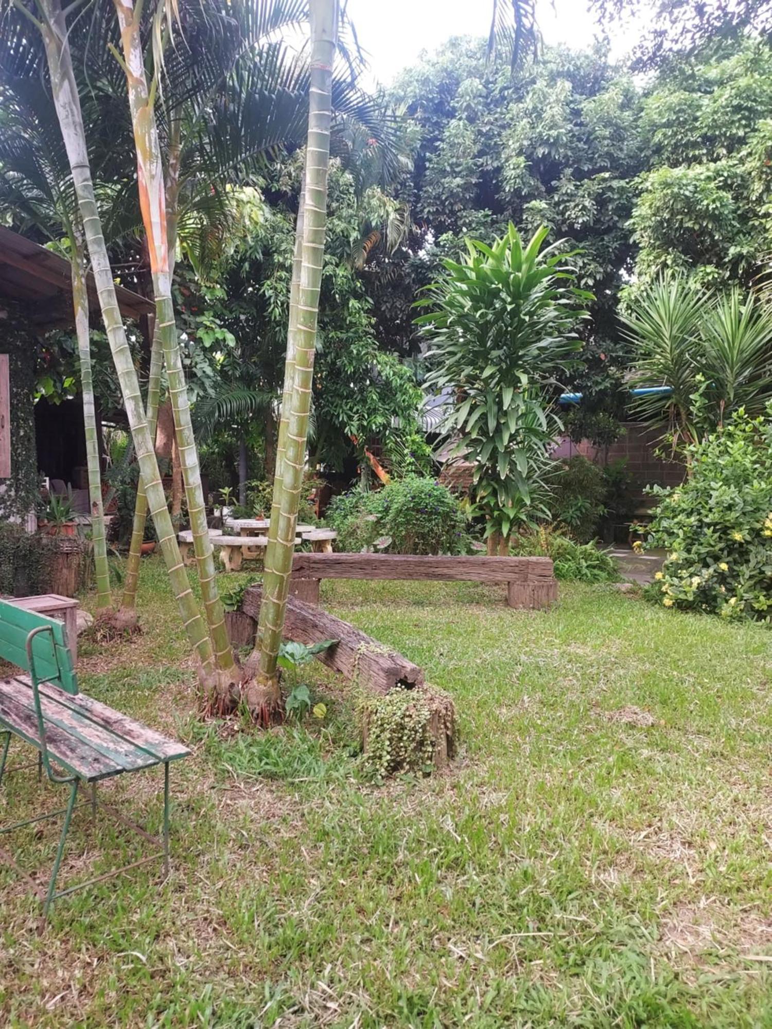 Kwanlah Homestay Mae Chaem Ngoại thất bức ảnh